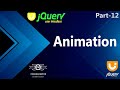 12 | Animation In jQuery UI | jQuery UI Animate Method | jQuery User Interface | jQuery (Hindi/Urdu)