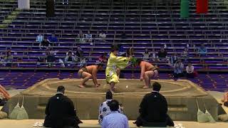 鯱ノ富士🏯勝ち越し☆　風武　名古屋場所　十一日目　day11 july18 2018 Nagoya