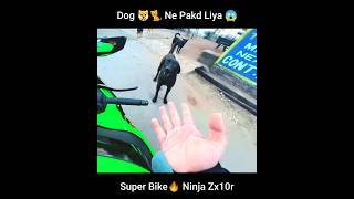 Dog 🐶🐈Ne Pakd Liya😱| Super Bike | Ninja Zx10r |Video by @aamir__majid
