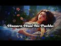 hamara haal na pucho song slowed reverb lofi love song view