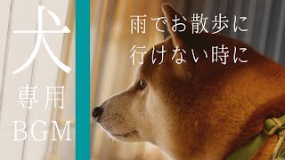 Piano BGM【music for your dog】Original piano BGM for a scene of everyday life.