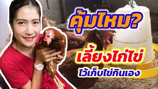 EP.11 คุ้มไหม? ถ้าจะเลี้ยงไก่ไข่ เอาไว้เก็บไข่กินเอง | ไร่คำกวี เกษตรอินทรีย์ วิถีพึ่งตนเอง