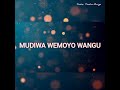 SHAMWARI YEMOYO - PASTOR TINASHE MURIGO