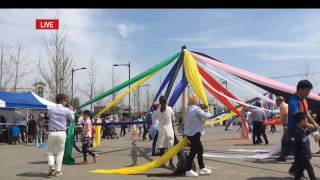 [Live] 15회 세종시 복숭아 봄꽃 축제- 체험존, 화합한마당 '단심줄놀이'