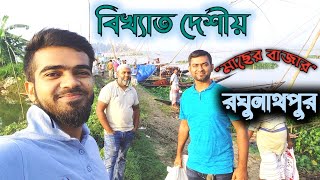 বিখ্যাত দেশীয় মাছের বাজার রঘুনাথ পুর | কালিয়াকৈর |গাজীপুর | নদীর তীরের মাছ বাজার..