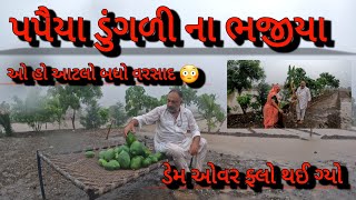 ઓહો આટલું બધું પાણી 😳 આજે તો પપૈયા ડુંગળી ના ભજીયા ખાધા ડેમ ઓવર ફલો થયો