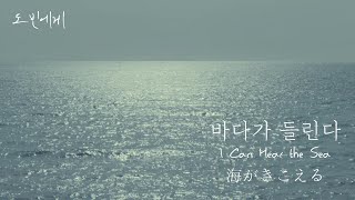 [ENG JPN CC] 답답해서 바다 보고 온 브이로그, I was kinda frustrated so visited beach, Korean Vlog, 韓国人のブイログ