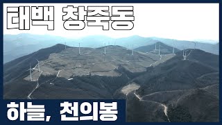 바깥창죽의 중심, 천의봉 태백 창죽동- KBS 지명수배 2022년 4월 27일 방송