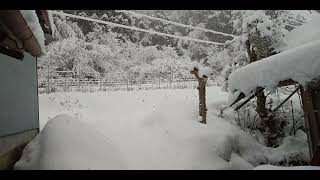 京都府北部綾部市の積雪、2022年2月6日