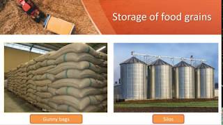 Harvesting, Threshing, Winnowing \u0026 Storage of Food Grains -NCERT CBSE Class 8