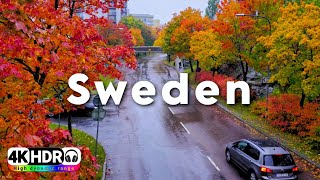 Sweden Autumn Walk in the Rain in 4k HDR | Stockholm’s Husby Neighborhood