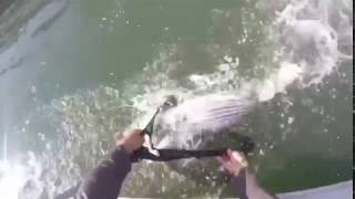 Mozambique Tiger Fishing - Fish Pops Boat