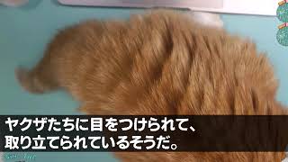 【スカッと】10年前姉と駆け落ちした夫 「妻と実家に帰省するから お前は実家から出ていけ」 私「え？知らないの？」 衝撃事実を伝えた結果【修羅場】