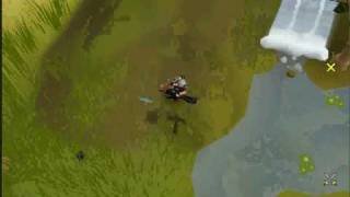 Runescape Ape Atoll Tranformation Fail