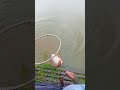 Hook Fishing Video #fish