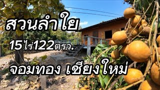 บ้านสวนEP826.ที่ดินสวนลำใย15ไร่122ตรว.ยกแปลง7.5ล้าน/อ.จอมทอง​เชียงใหม่​