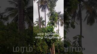 நம்மாழ்வார்-மரம் நடுவோம்! மழை பெறுவோம்! #nammalvar #treeplantation #tamil #tree #agriculture #shorts