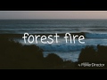 Brighton - forest fire (lyrics)