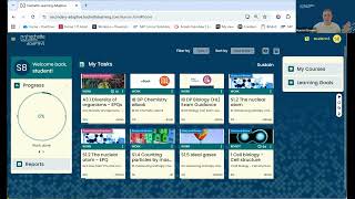 Online Product Demonstration: Adaptive Study