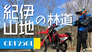 《 CRF250L MD47 》オフロードツーリング　2021年晩秋　紀伊山地の林道