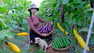 Harvest eggplants, luffa gourds, and zucchini to sell at the market, cook meals and tend the garden.