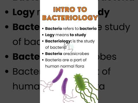 Introduction to bacteriology #medzukhruf #bacteria #medicalbiology #biology #microbiology