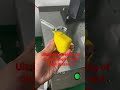 Ultrasonic welding of plastic shell of tool tape measure