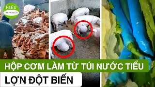 Bí mật độc hại và những mối nguy hiểm bị che giấu của thực phẩm.|| HIỂU TRUNG QUỐC