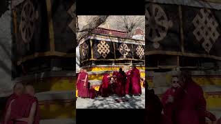 Tibetan Buddhist debate 色拉寺辩经 #tibet #tibettours #tibetanvlogger #chineselanguage #travelvlog