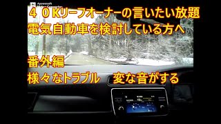 ４０Kリーフオーナーの言いたい放題 電気自動車を検討している方へ　トラブル編　なんか変な音が・・・