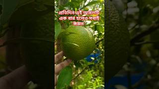 #মাশাল্লাহ#মালটা গাছ#foryou#viralshorts#youtubeshorts#gardening#cooking#motivation#