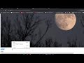 【Vue js】  identify or classify image using mobilenet and tensorflow js