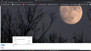 【Vue js】 identify or classify image using mobilenet and tensorflow js