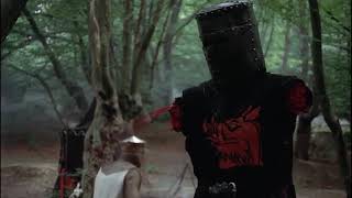 Monty Python & The Holy Grail: "...It's just a flesh wound..."