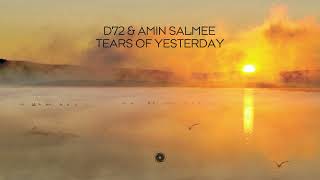 D72 \u0026 Amin Salmee - Tears Of Yesterday