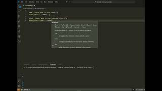 Python User Input Tutorial - input() Function for Beginners