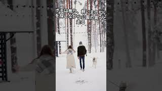 愛犬と不思議な体験31「消えた飼い主」　#shorts #恐怖 #怖い話  #犬のいる生活