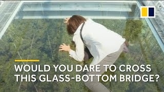 Glass-bottom bridge 80 metres above ground opens in China