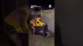 Florida Man Uses Trash Can to Capture Alligator on Easter