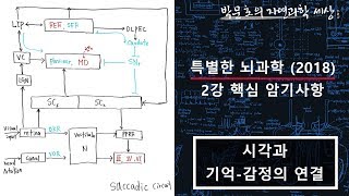 2.시각과 편도체의 연결