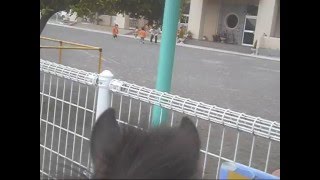 保育園でサービス