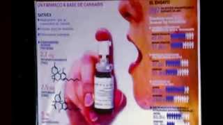 ELISALDO CARLINI: O Uso Medicinal da Cannabis - CID2013 - 4Maio - 2(Pt1)