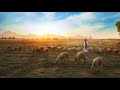 白噪音「农村 countryside 乡村」大自然的声音 nature sound│羊儿的声音 sheep bleat│cow│relax│sleep│study│meditate│distress