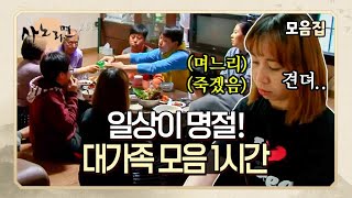 [추석 특집] 어디서 며느리들 앓는 소리 안 들리나요..? 대가족 일상 모음! MBN 190806 방송