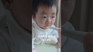 사과퓌레 처음 먹어보는 수호 #김정우척척박사 #7개월아기 #아들 #아빠 #baby #육아 #아기