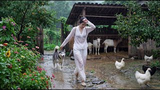 A Young Woman Living on a Mountain Farm | Beautiful Countryside Life