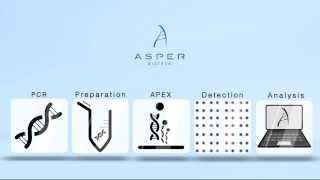 Genetic analysis using the APEX technolgy