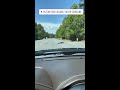 Alligator seen crossing Hilton Head Island road as mating season begins