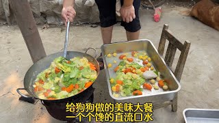 給狗狗們煮美味大餐，蔬菜雞胸肉拌狗糧，一個個饞得直流口水