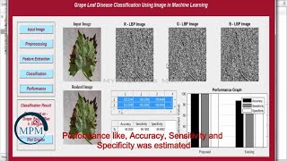 Grape Leaf Disease Classification By Machine Learning Using MATLAB | MyProjects Mart